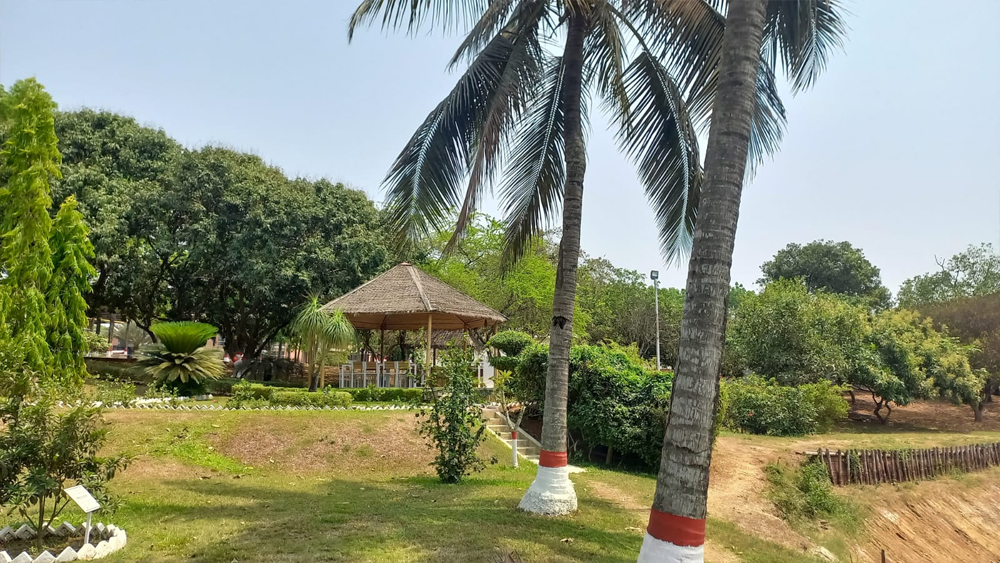Portfolio Image